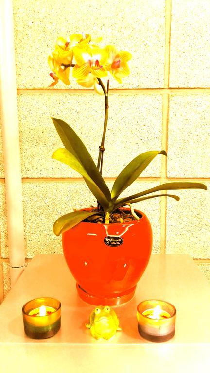 Kingkong Guesthouse 釜山広域市 部屋 写真